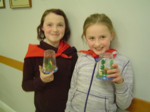 Creation in a Cup and Scarves 2