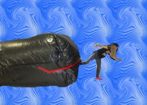 Big Fish Swallows Explorer