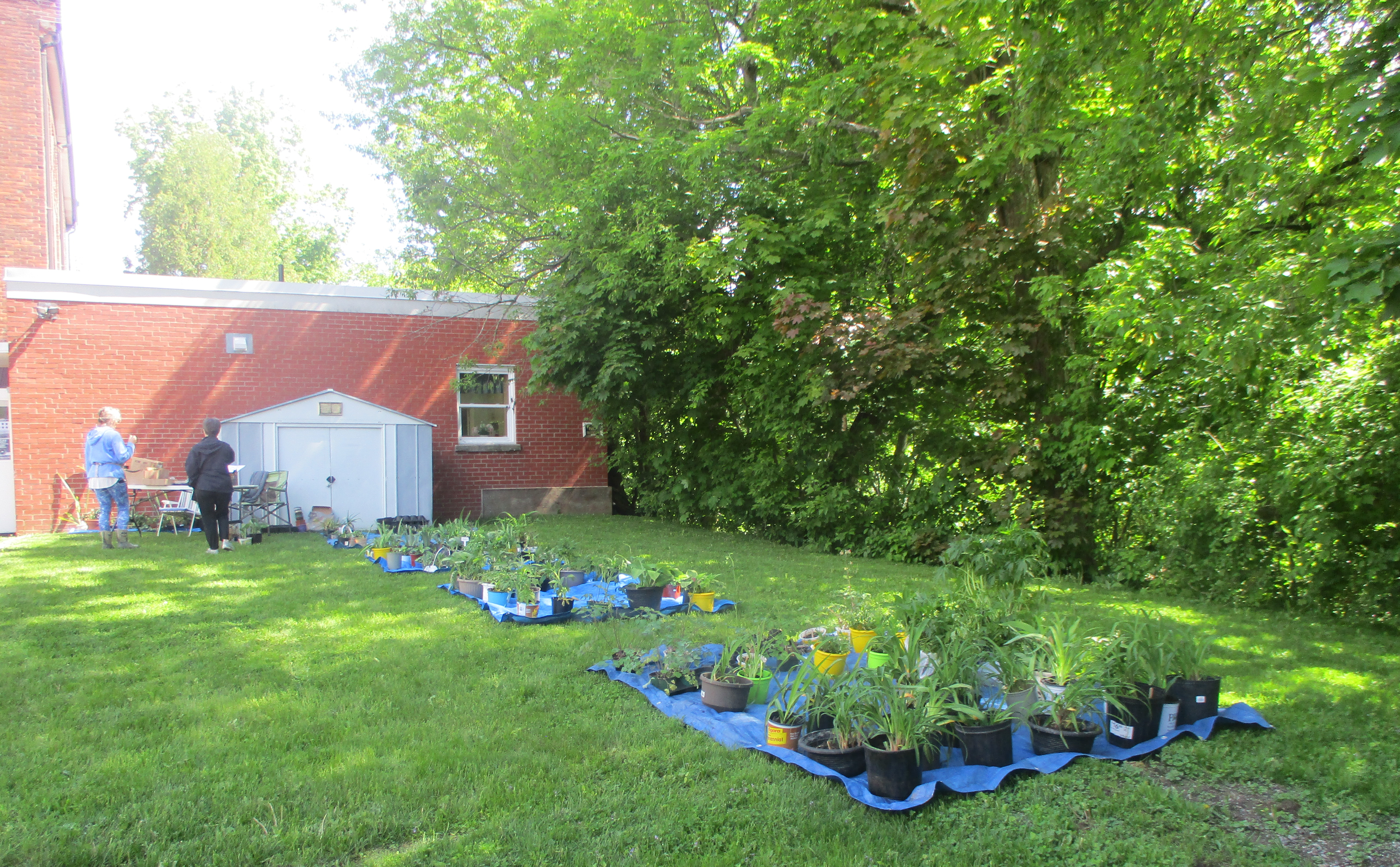 Plant-Bake-Sale-5-28-2022-6